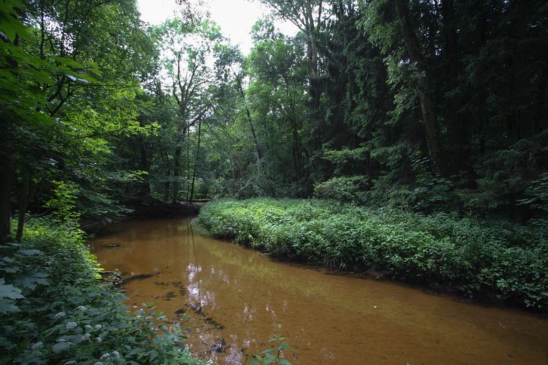 Natura 2000-gebied Bekendelle