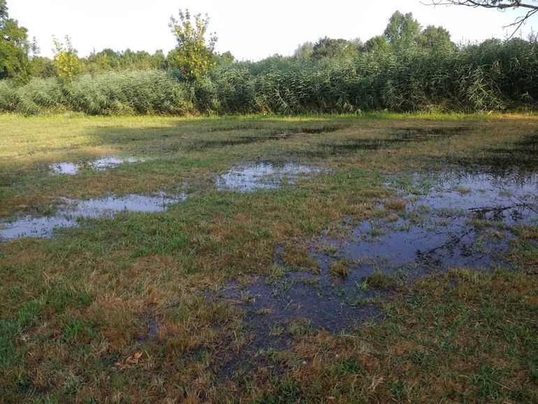 Bevloeien met kalkrijk water