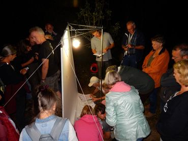 Op de meeste locaties wordt in ieder geval gewerkt met lamp en laken