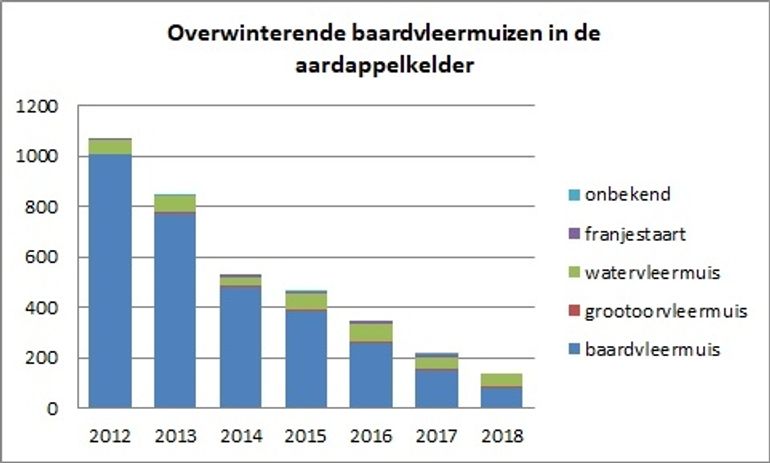 Figuur 1: Aantallen overwinterende vleermuizen in de aardappelkelder