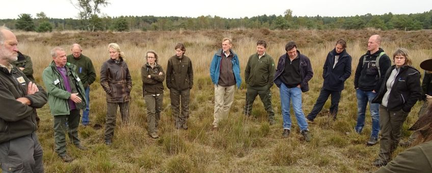 beheerders in overleg over heidefauna en begrazing