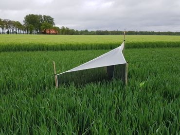 Insectenval voor vliegende insecten, een zogenaamde malaiseval