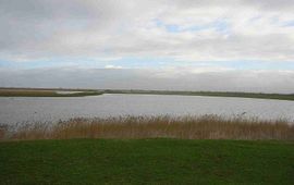 Gerard M. Oostvaardersplassen, GNU Free Documentation License