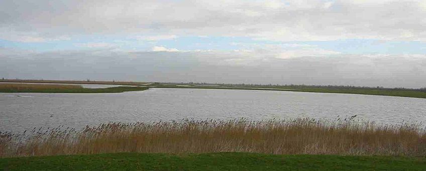 Oostvaardersplassen, GNU Free Documentation License