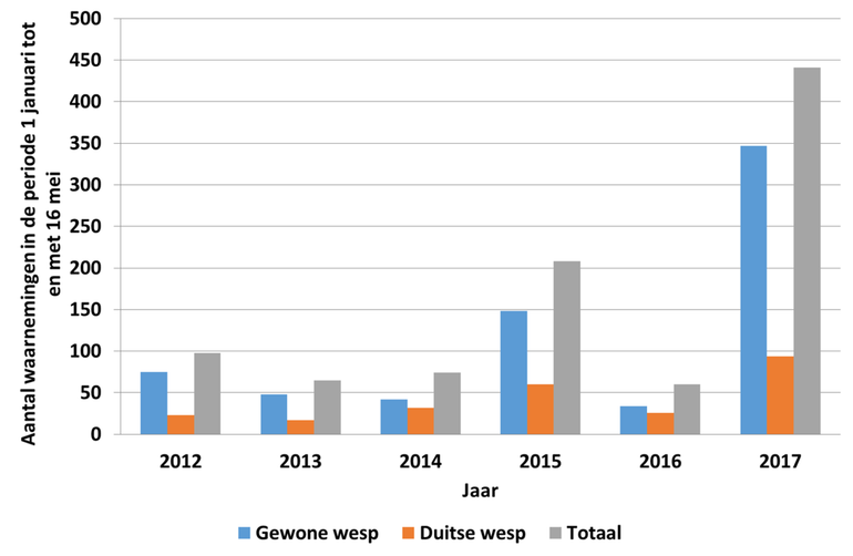 Aantal waarnemingen van de gewone wesp en de Duitse wesp van 1 januari tot en met 16 mei in de jaren 2012 tot en met 2017