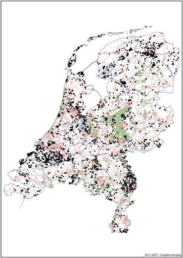 Waarnemingen van dwergmuizen vanaf 2010