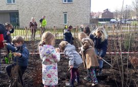 Leerlingen van basisschool de Fontein planten het eerste Tiny Forest van Breda aan.