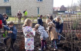 IVN Brabant - Voor éénmalig gebruik Leerlingen van basisschool de Fontein planten het eerste Tiny Forest van Breda aan.