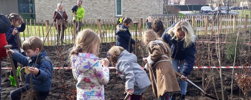 Leerlingen van basisschool de Fontein planten het eerste Tiny Forest van Breda aan.