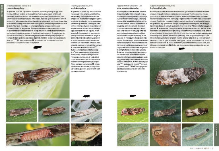 Twee pagina's uit het Handboek motten