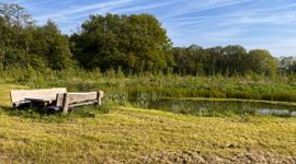 Voedselbos Lage Mierde ontving in 2024 € 10.000 vanuit het Buurtnatuur- en Buurtwaterfonds. In dit project werken dorpsraad, een boer en een professionele voedselbosbouwer samen aan een ecologisch en sociaal duurzame plek voor de gemeenschap. Met onder andere een buitenleslokaal voor scholen en drie poelen voor wateropvang.