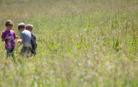 Jongens ontdekken nieuwe natuur EENMALIG GEBRUIK lead