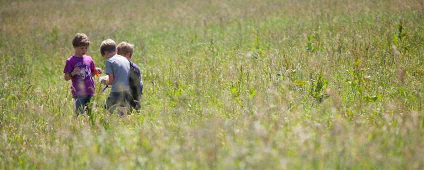 Jongens ontdekken nieuwe natuur EENMALIG GEBRUIK lead