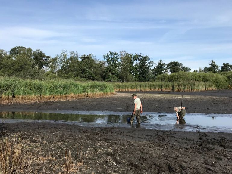 Monitoring bij het Greveschutven