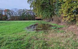 Water op maaiveld na uitvoeren hydrologische maatregelen