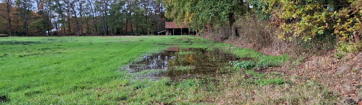 Water op maaiveld na uitvoeren hydrologische maatregelen