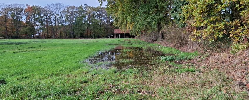 Water op maaiveld na uitvoeren hydrologische maatregelen