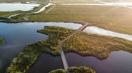 Nationaal Park De Biesbosch, Drimmelen, Nederland