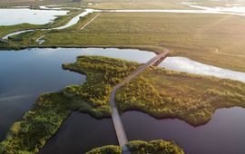 Nationaal Park De Biesbosch, Drimmelen, Nederland