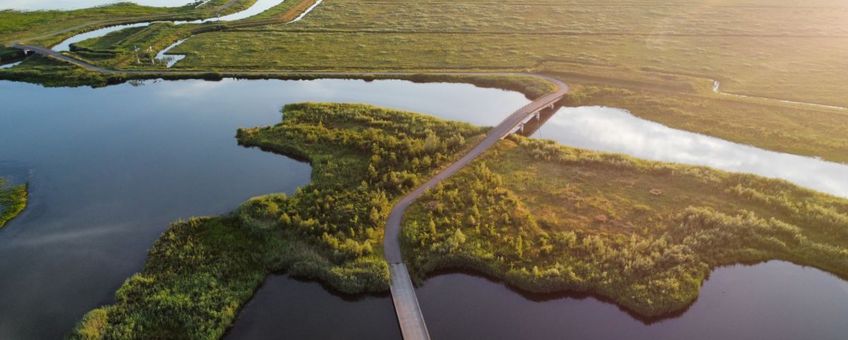 Nationaal Park De Biesbosch, Drimmelen, Nederland