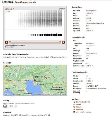 Xeno-canto bevat bijna 25.000 geluidsopnamen van sprinkhanen. Elke opname is geïllustreerd met een sonogram en voorzien van informatie over locatie en datum