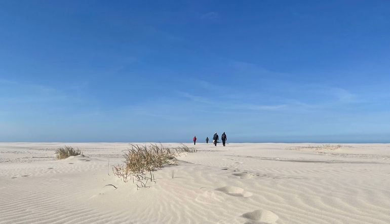Kleine, lage duinen die gevormd zijn door biestarwegras bij De Balg, Schiermonnikoog. 