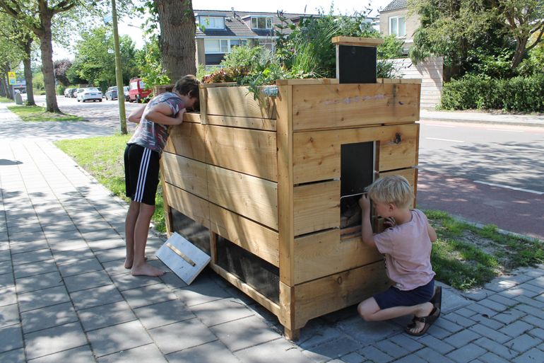 Kinderen gluren in wormenbak