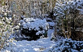 Kars Veling winter - primair