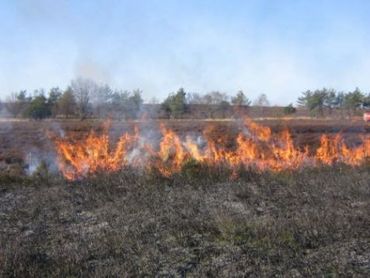 Brand op de heide