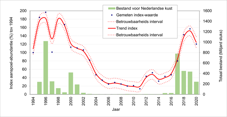 De blauwe stippen geven het relatieve voorkomen weer (index van de gemiddelde abundanties) van aangespoelde levende exemplaren en doubletten van de Halfgeknotte strandschelp op de SMP-trajecten van Noord- en Zuid-Holland en Zeeland. 1994 is daarbij gesteld op 100%. De rode doorgetrokken lijn geeft de trend en de dunne gestippelde lijnen om de trendlijn vormen het betrouwbaarheidsinterval. De groene staven geven vanaf 1995 het aantal Halfgeknotte strandschelpen in zee op basis van monsternames uitgevoerd door Wageningen Marine Research