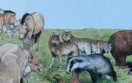 Fred Marschall. Voor eenmalig gebruik Dieren in de mammoetsteppe