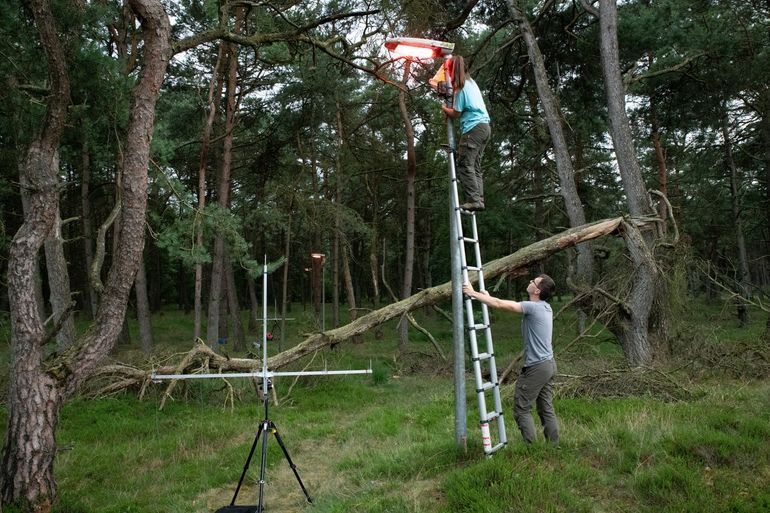 Researchers placing instruments to measure the presence of bats and insects near the experimental lighting