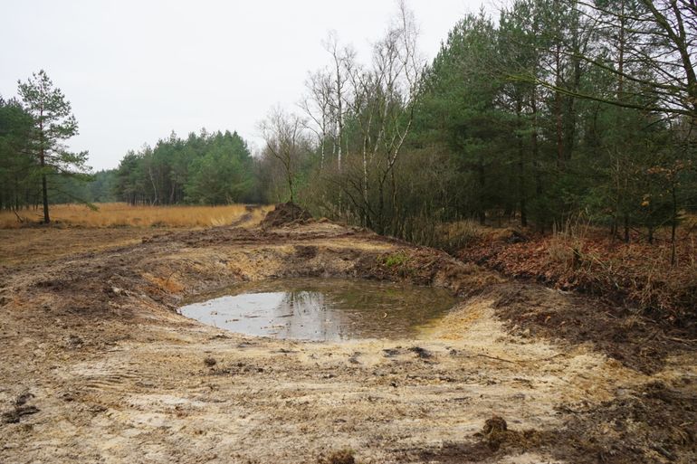 Dezelfde locatie na het schonen van de poel