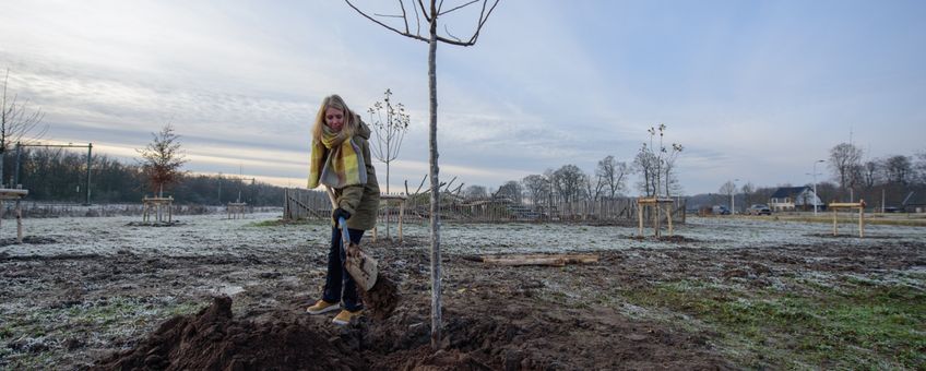 Klimaatburgemeester van Bunnik Annelies Vermeulen plant een boom op het Sedumveld in Bunnik