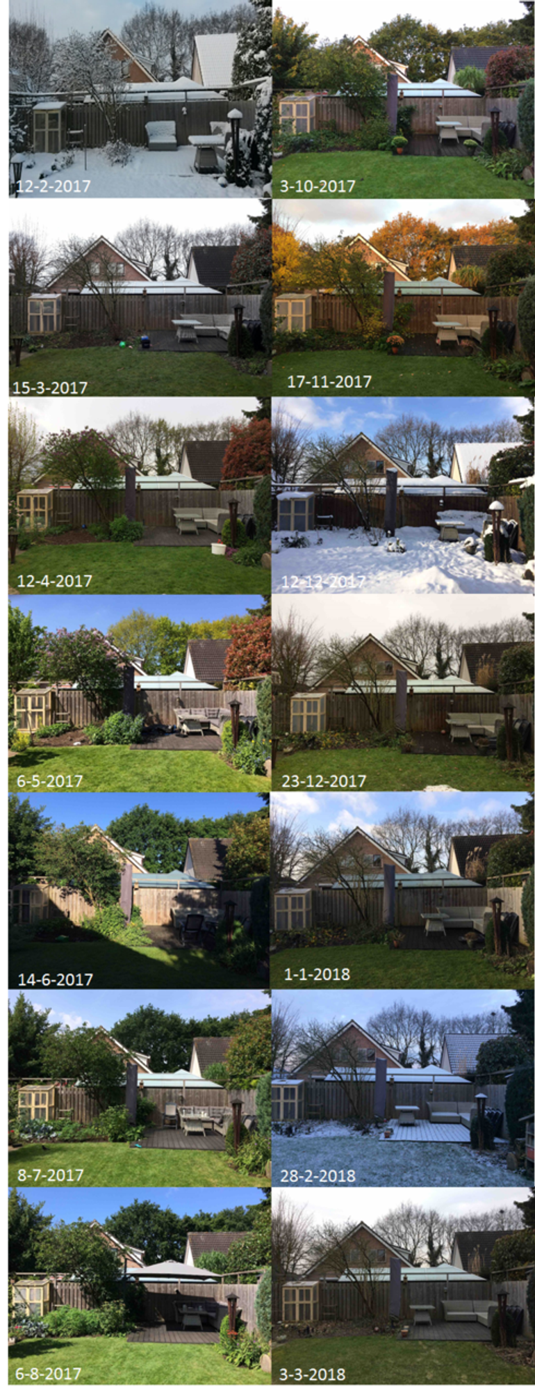 Selectie van GrowApp-foto’s uit de time-lapse video van het gazon in mijn achtertuin