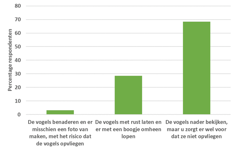 Antwoord op de vraag of u de onbekende vogels zou benaderen of niet