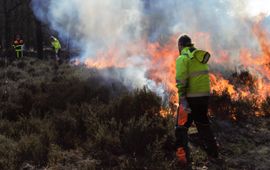 Wageningen U&R De brand wordt aangestoken in een hoek van het heideveld. Deze plek is zo gekozen dat de brand zich langzaam tegen de wind in moet verplaatsen. Om het af te branden heideveld is een strook van 5 meter gemaaid en nat gemaakt, zodat de brand doodloopt op deze rand