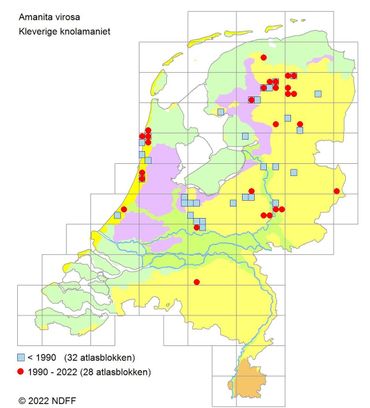 Verspreidingskaartje Kleverige knolamaniet