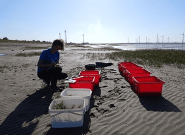 Clea van de Ven while setting up an experiment