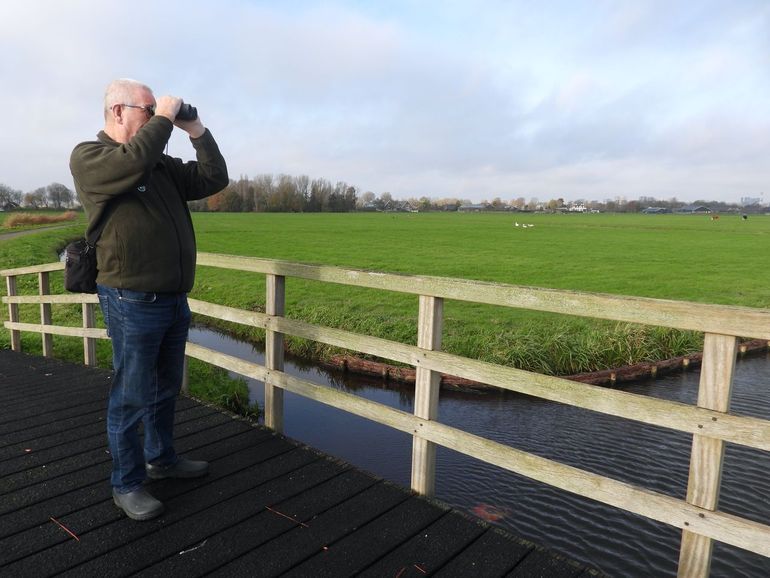 Aad van Paassen monitort kieviten in de Duivendrechterpolder