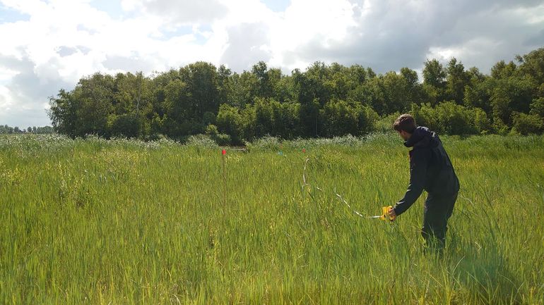 Onderzoeker Wouter Oe doet veldwerk