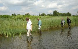Baudewijn Odé Laarzen zijn handig als je de waterkant inventariseert.