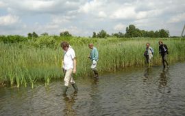 Laarzen zijn handig als je de waterkant inventariseert.