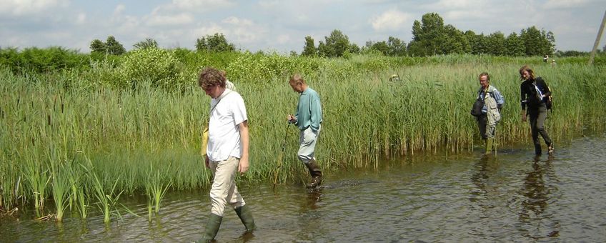 Laarzen zijn handig als je de waterkant inventariseert.