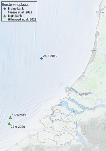 De eerste vindplaatsen van de kokerwormkrab in de Nederlandse en Belgische Noordzee