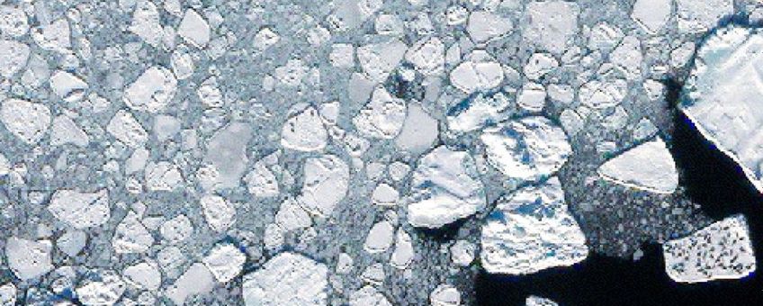 Satellietfoto van zadelrobben nabij Groenland, gefotografeerd vanaf 600 km hoogte.  © Maxar Technologies