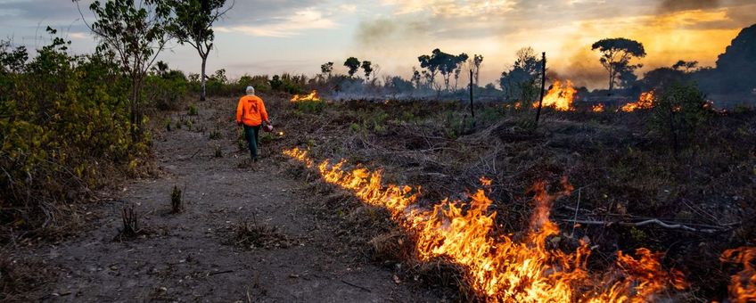 Bosbranden in de Amazone