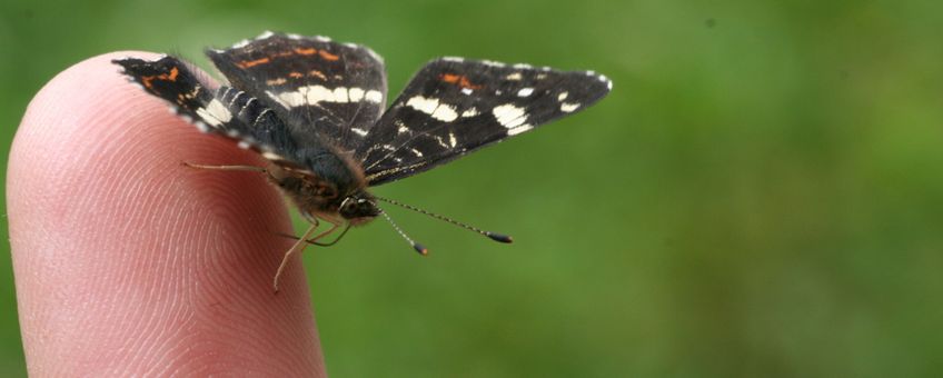 landkaartje op vinger