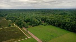 Eenmalig gebruik door BIJ12