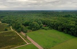 Eenmalig gebruik door BIJ12